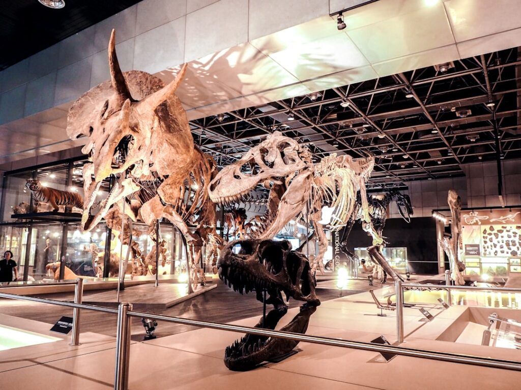 New Baylor-Led Research Rewrites the Story of Dinosaur Extinction