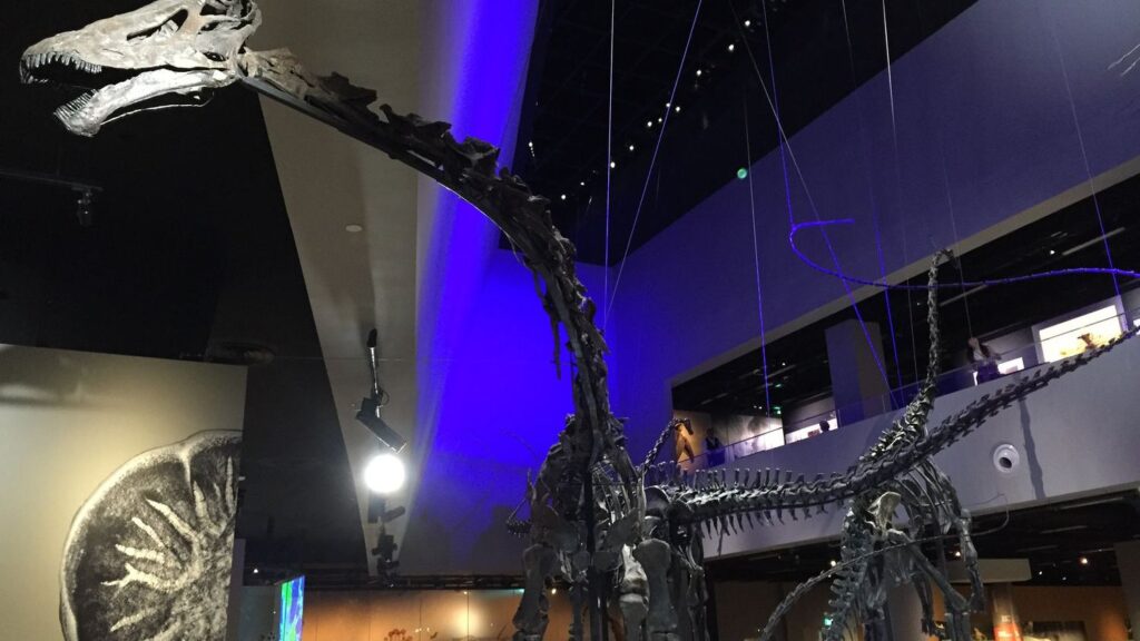 6 Fascinating Theories Explaining Why Some Dinosaurs Grew So Gigantic