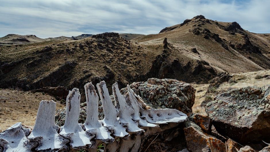 7 Geological Wonders That Preserve Secrets of Prehistoric Life in the US