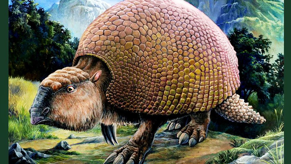 3 Zodiac Signs That Possess the Ancient Strength of a Glyptodon