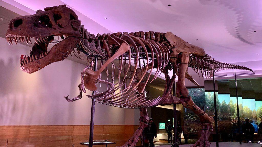 New Evidence Suggests Many Dinosaurs Were Warm-Blooded and Agile Hunters