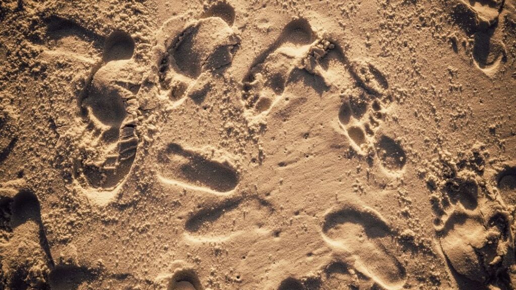 Paleontology Is Rewriting the Story of North America's First Inhabitants