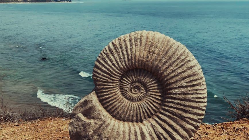 Deep Ocean Trenches Harbor Undiscovered Living Fossils From Ancient Eras