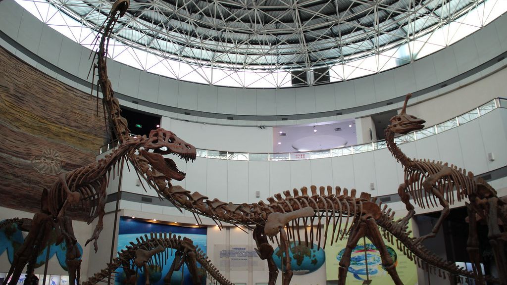 5 Prehistoric Discoveries That Changed Everything We Knew About Dinosaurs