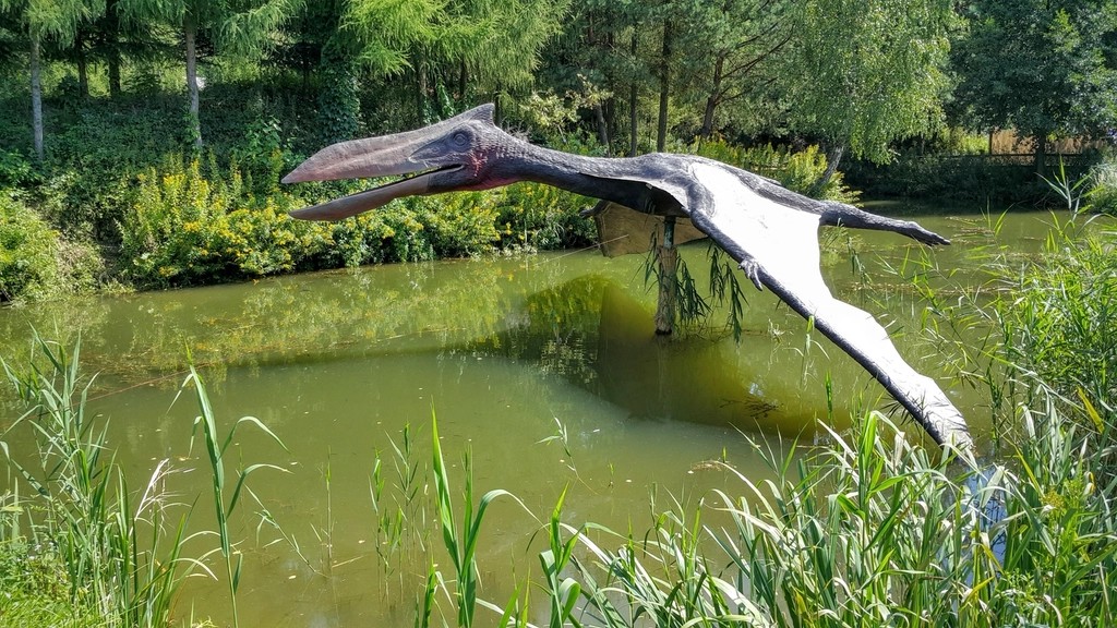 5 Zodiac Signs That Carry the Ancient Wisdom of the Pterodactyl
