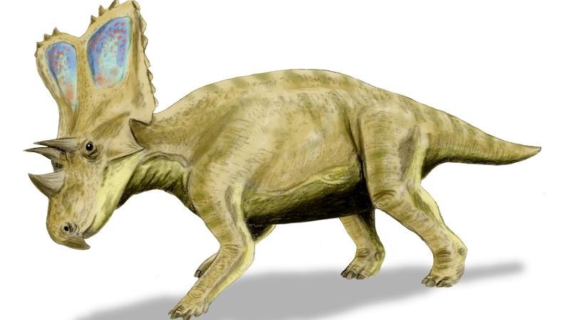 10 Forgotten Dinosaurs That Roamed North America's Ancient Forests