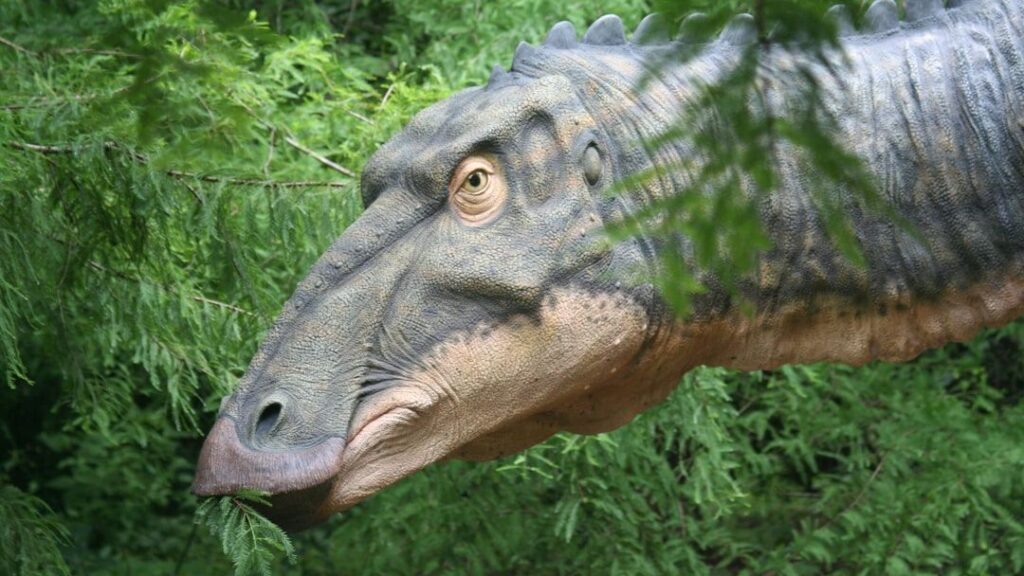 9 Astounding Ways Dinosaurs Adapted to Their Changing Environments