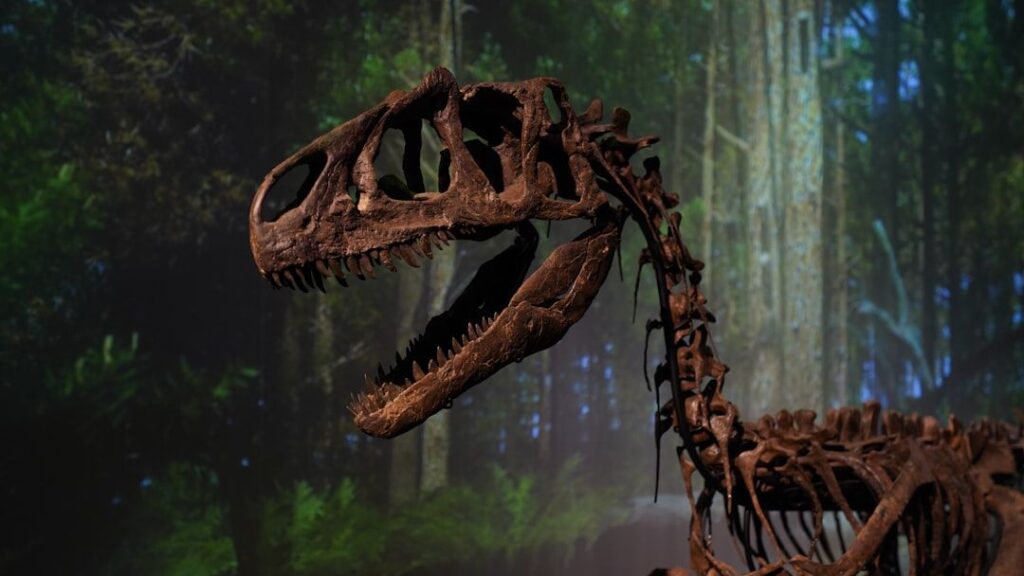 Dinosaur Fossils Provide Crucial Clues About Earth's Ancient Climate