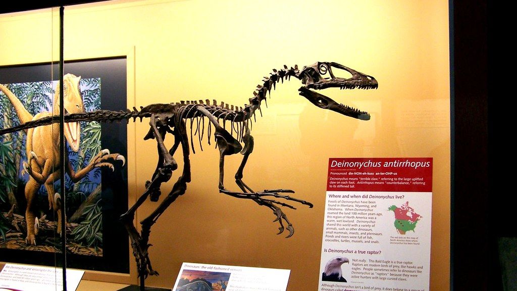 8 Incredible Dinosaur Discoveries That Rewrote Paleontology Textbooks