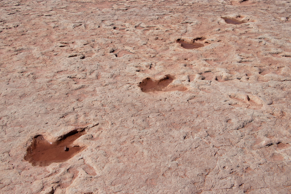 Dinosaur prints push theropod existence further back in Mongolia