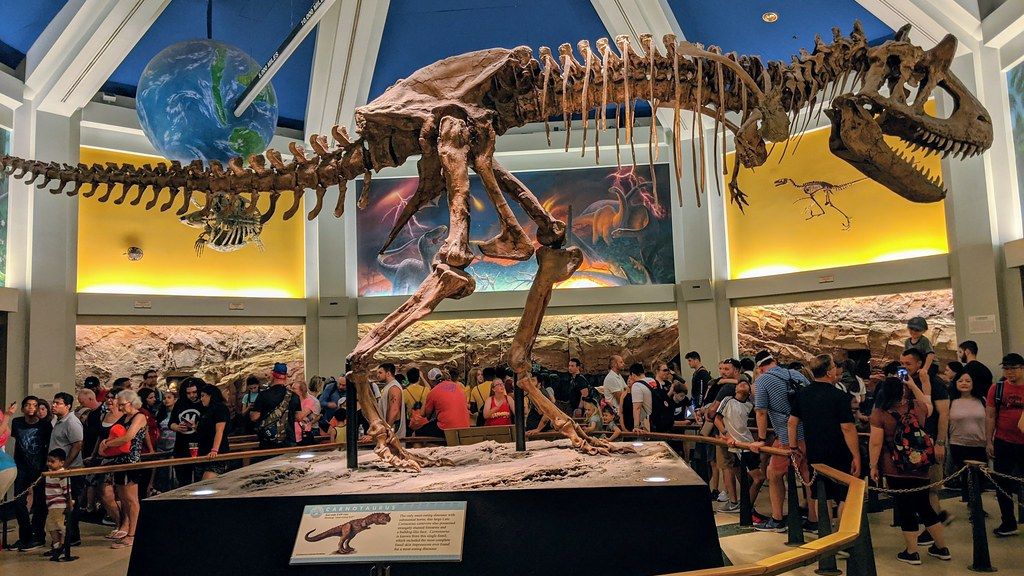 8 Little-Known Details About Dinosaur Anatomy That Will Amaze You