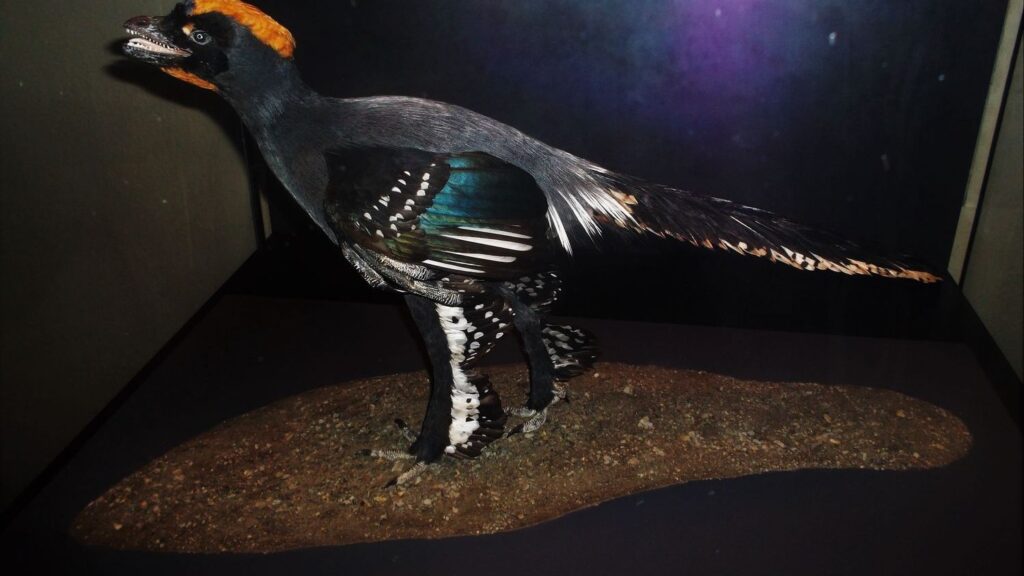 Paleontologists Now Believe Some Dinosaurs Possessed Vibrant Coloration