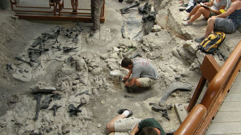 9 Essential Tools Every Aspiring Paleontologist Needs Today