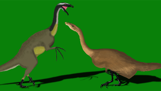 Many Dinosaurs Displayed Complex Courtship Rituals Before Mating