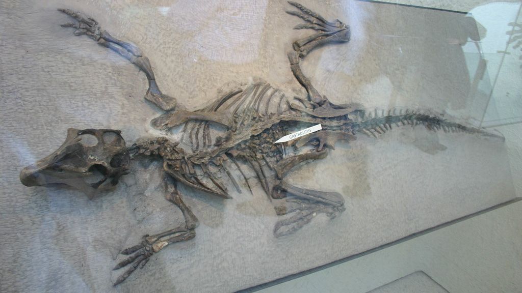 Decoding the Dinosaur Diet: What 10 Fossilized Stomachs Reveal About Prehistory