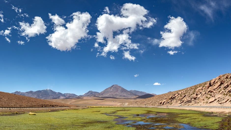 When Continents Collided: How Plate Tectonics Shaped Dinosaur Habitats