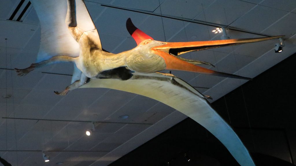 10 Fascinating Prehistoric Creatures That Ruled the Skies Before Birds
