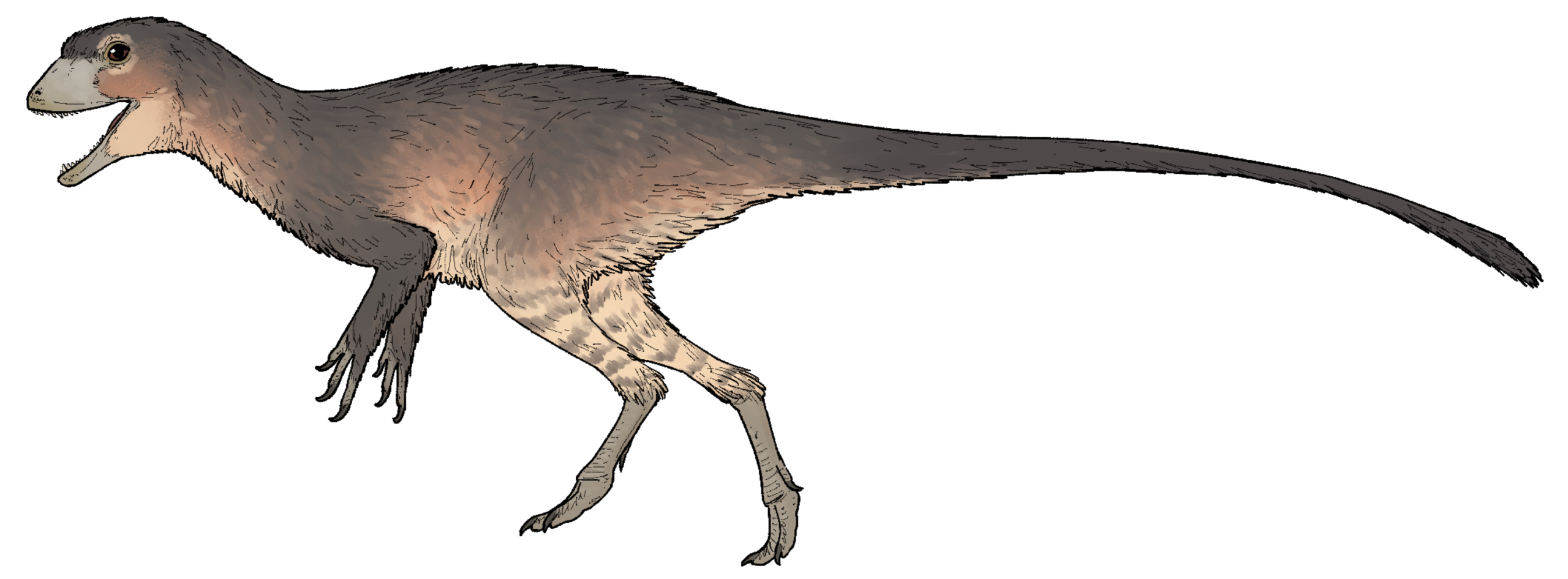 New Triassic Dinosaur Species Identified in New Mexico