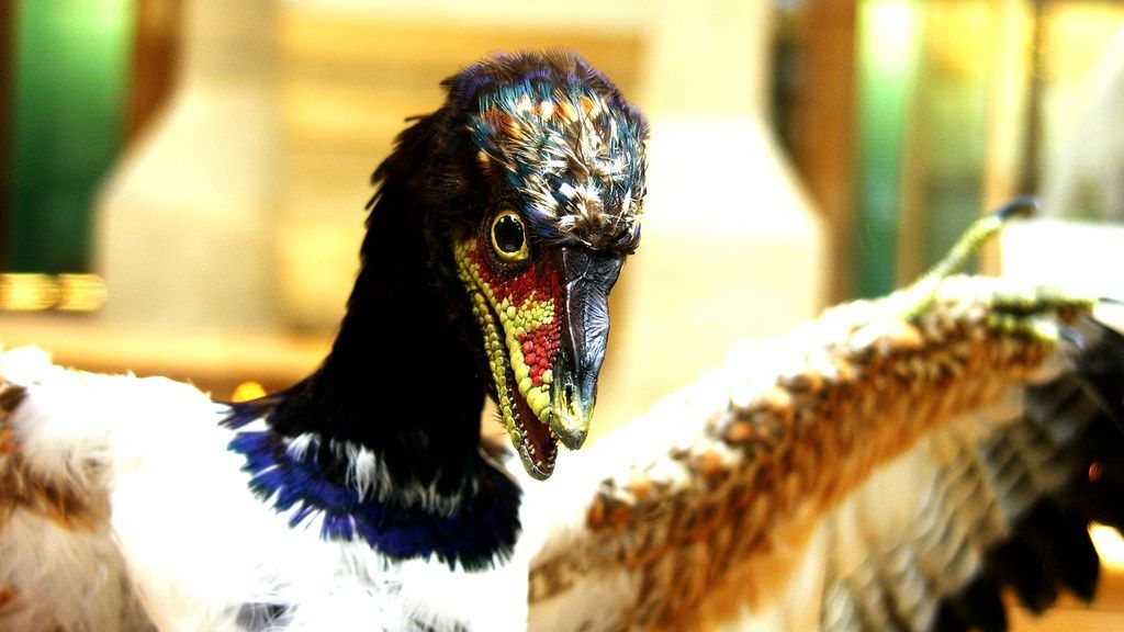 The Missing Link: New Discoveries Bridge Gaps in Dinosaur Evolution