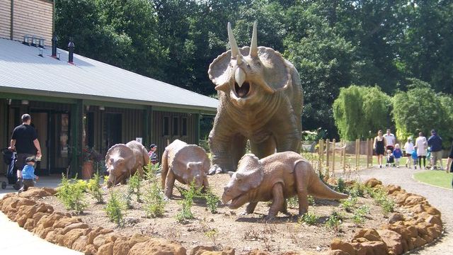 8 Mind-Blowing Theories About Dinosaur Social Structures and Family Life