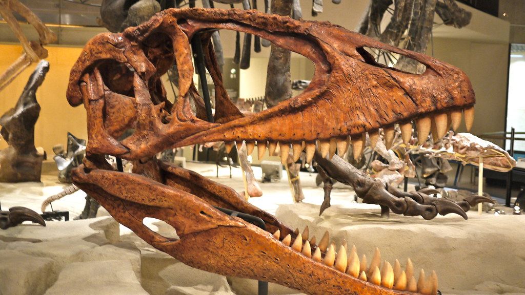 7 Incredible Dinosaur Discoveries That Rewrote History Books