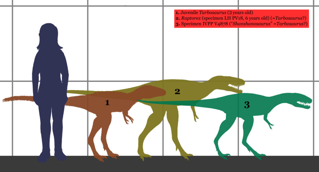 Raptorex and Asiatyrannus are now considered juvenile Tarbosaurus! Pretty shocking!