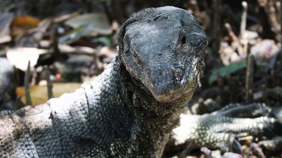 Many Prehistoric Creatures Survived Extinction Events Against All Odds