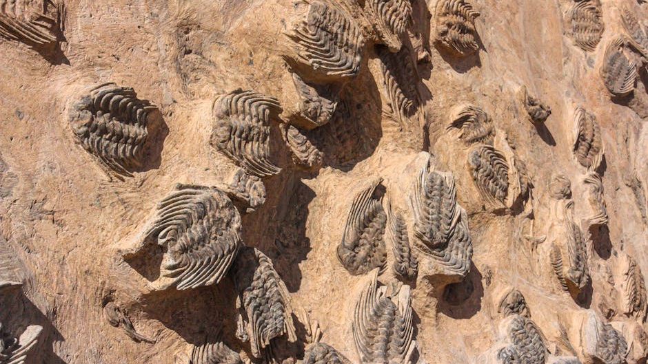 The Great Permian Extinction: Earth's Most Devastating Mass Event Explained