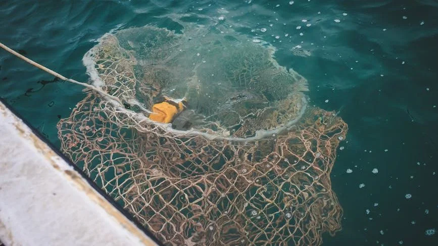 Bottom Trawling Sweeps Up Nearly 3,000 Fish Species, New Study Documents