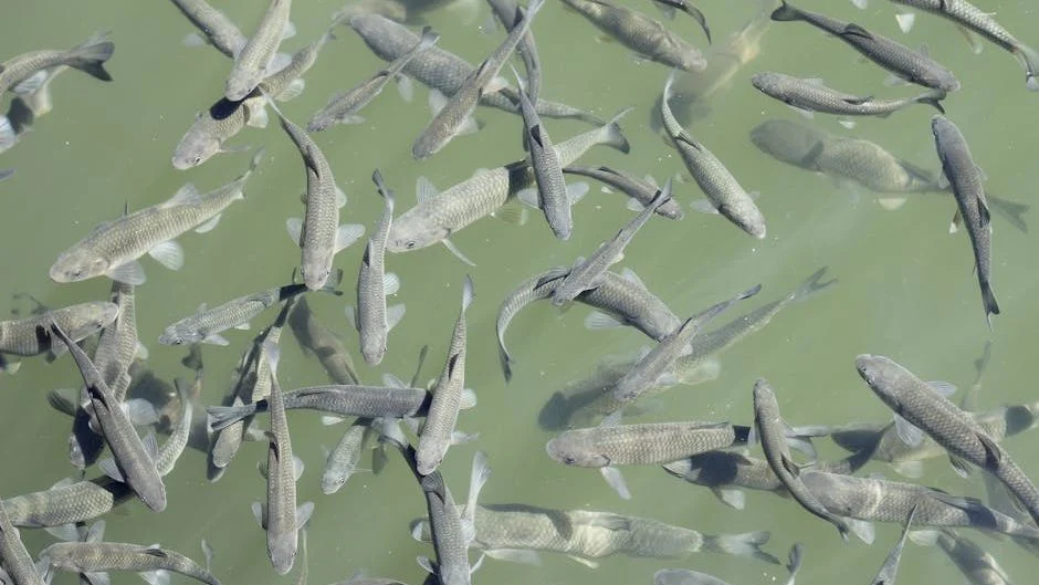 Science Must Prevail Over Popularity in Wildlife Conservation