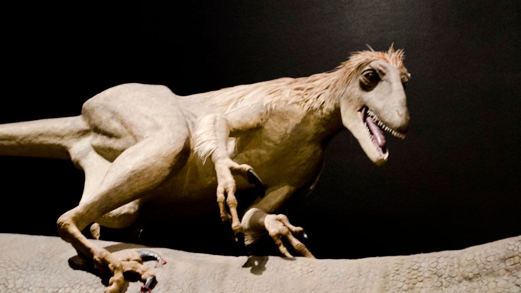 These 4 Zodiac Signs Share the Tenacity and Focus of a Velociraptor