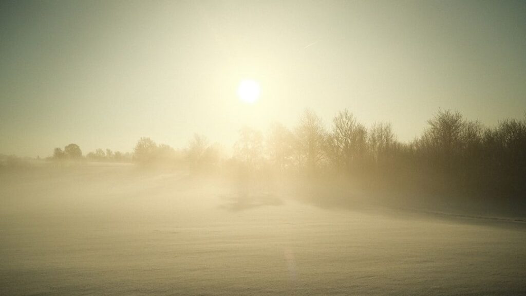 The Day the Earth Changed: Reconstructing the Asteroid Impact's Immediate Aftermath