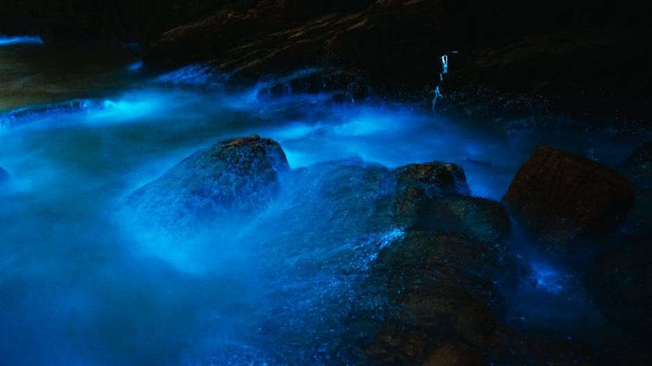 10 Unexpected Ways Prehistoric Marine Life Influenced Modern Ocean Ecosystems