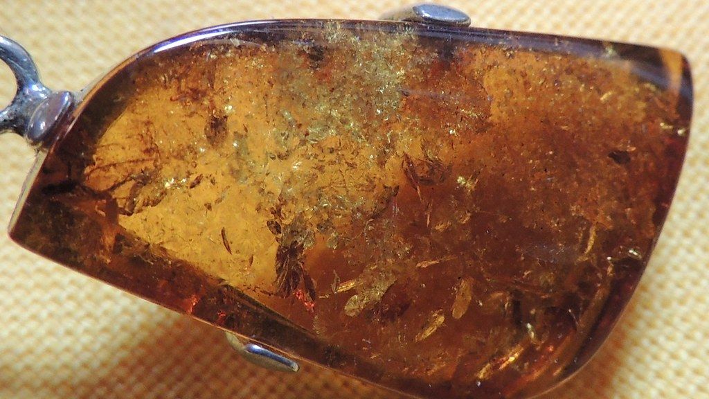 7 Unbelievable Prehistoric Discoveries That Redefined Our Understanding of Life