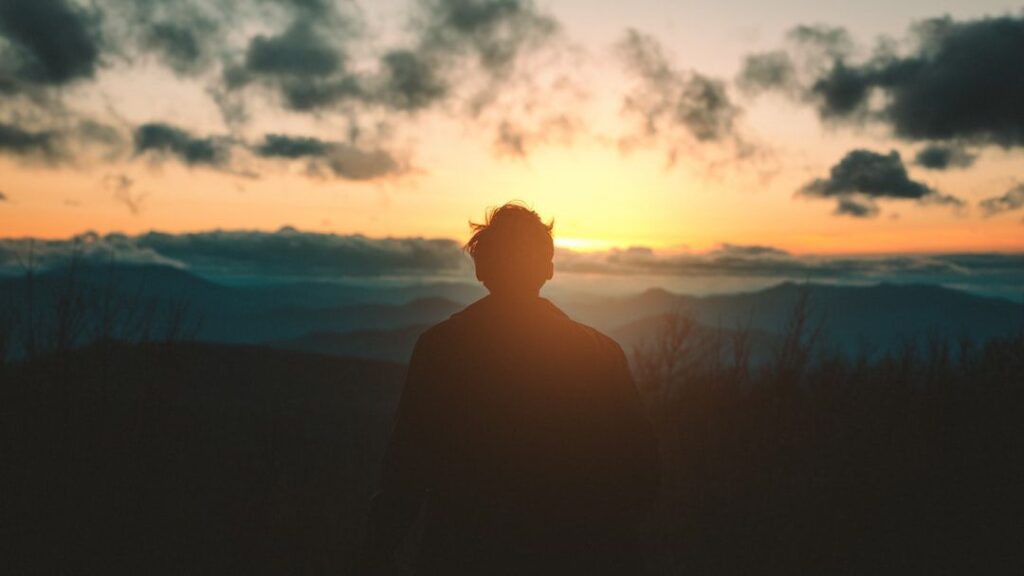 What If Evolution Shaped Emotions First