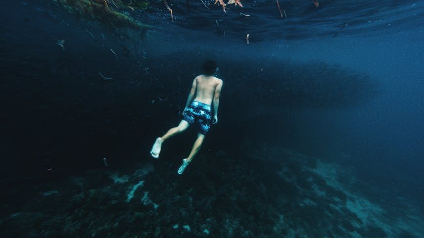 What If Humans Evolved Underwater