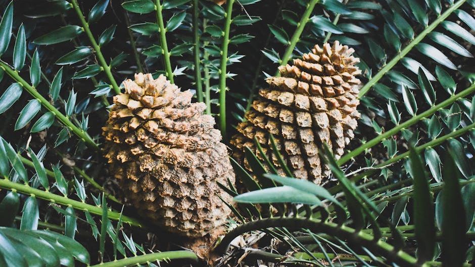 7 Zodiac Signs Whose Spirit Echoes the Resilience of Prehistoric Flora