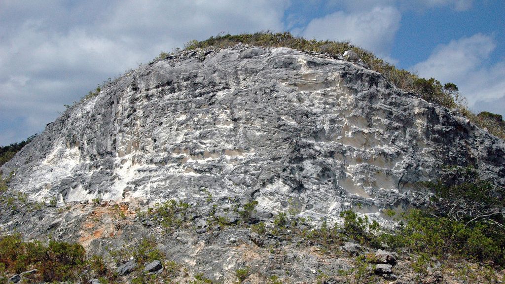 10 Astounding Fossil Locations in the US Every Paleontologist Dreams Of