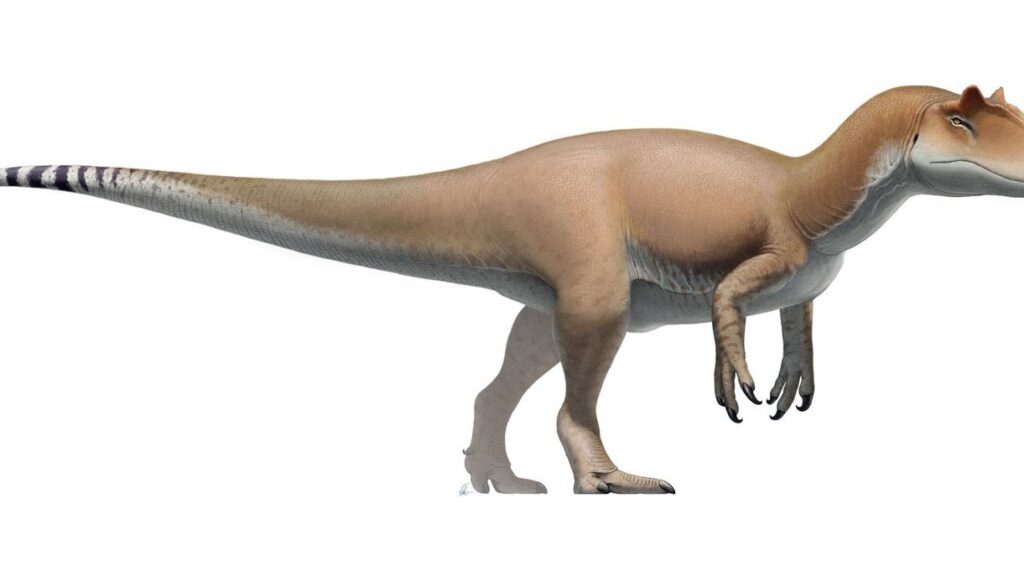 These 4 Zodiac Signs Share the Resilience and Spirit of an Allosaurus