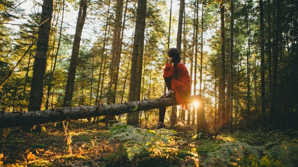 6 Zodiac Signs Whose Ancient Spirit Connects Them to Primeval Forests