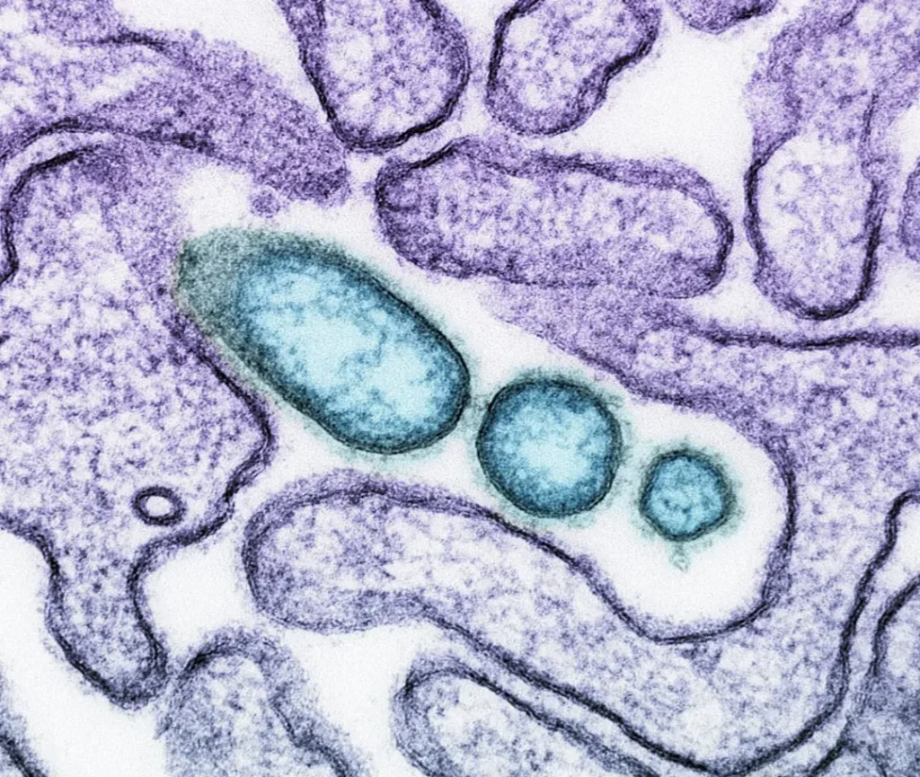 The Remarkable Journey of Life: From Single Cells to Towering Dinosaurs
