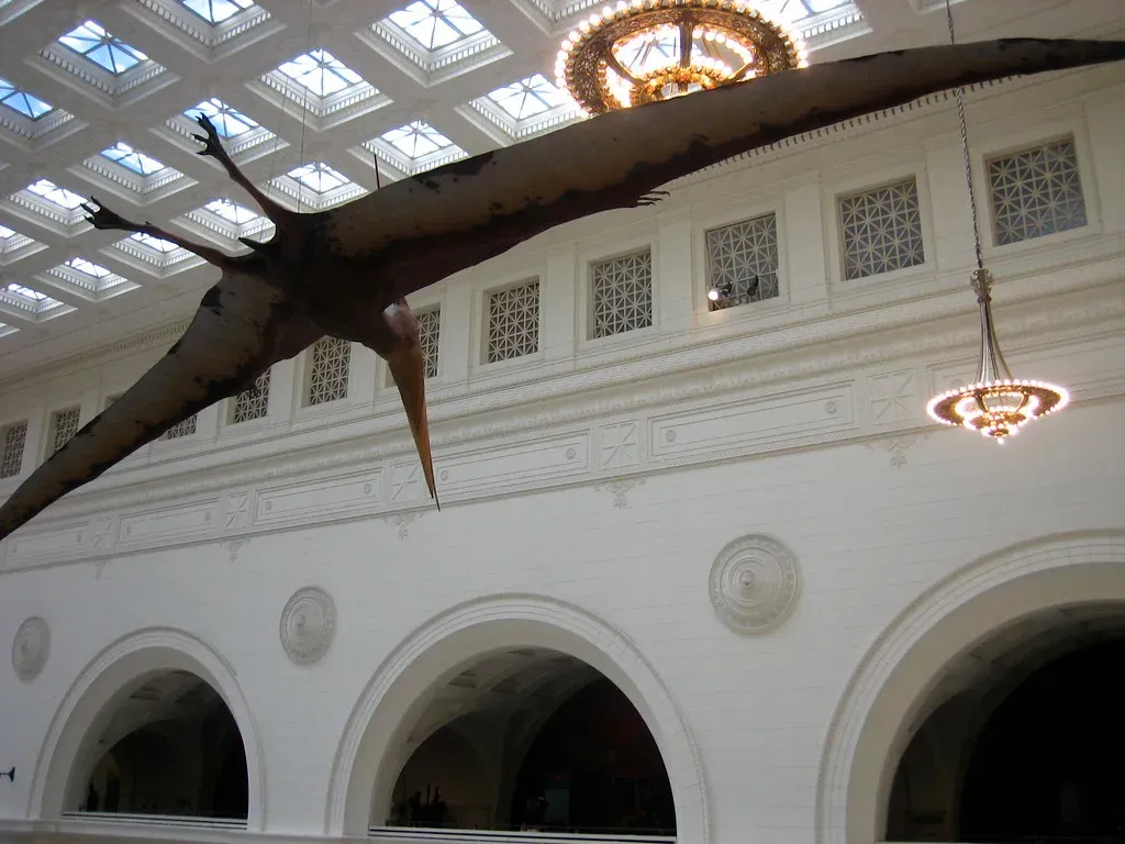 The Evolution of Flight Began With Surprising Prehistoric Reptiles, Not Just Birds