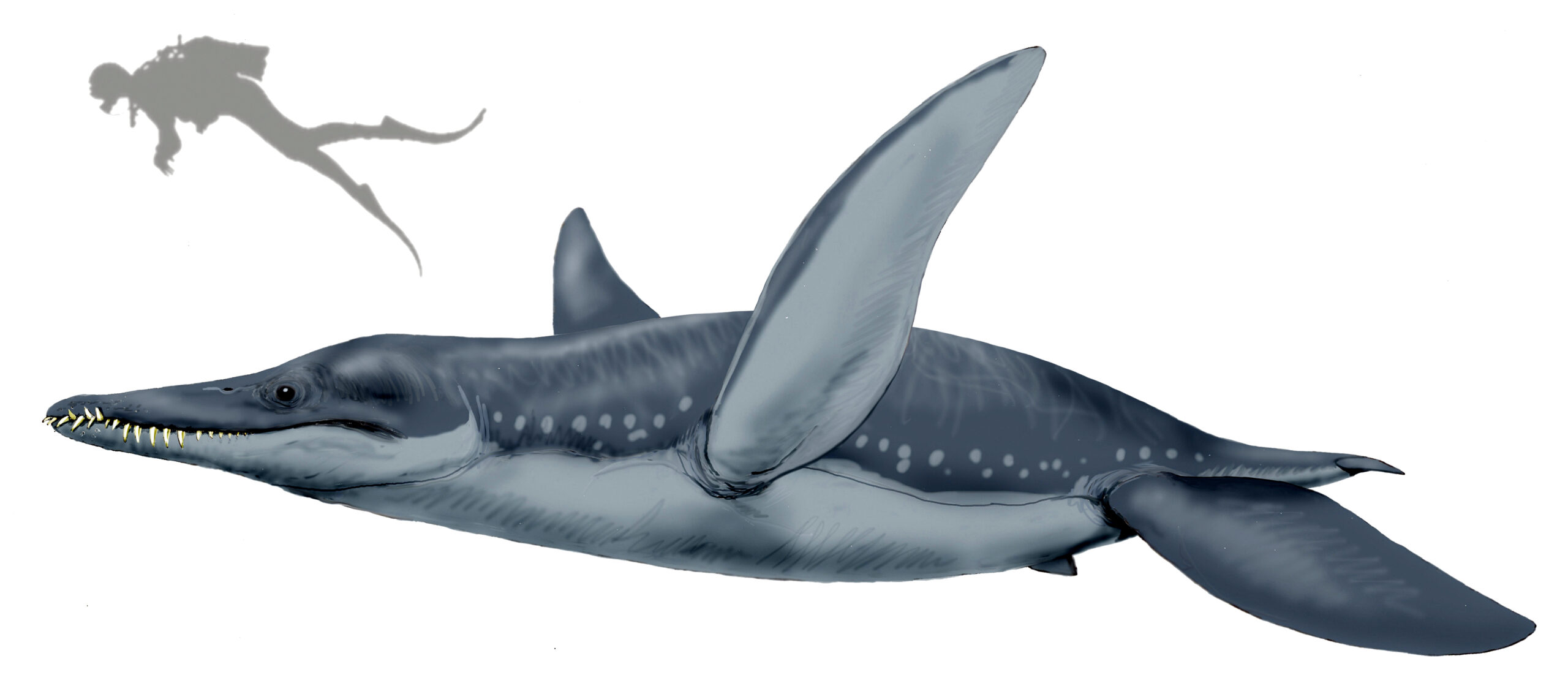 10. You're Built for the Long Game