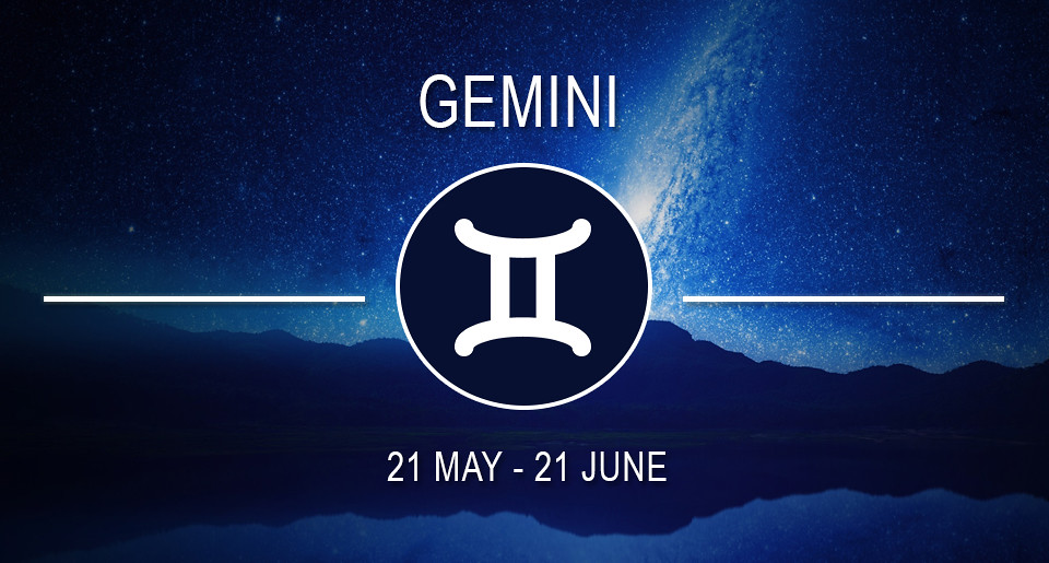 Gemini: Thinking on Your Feet in Any Environment