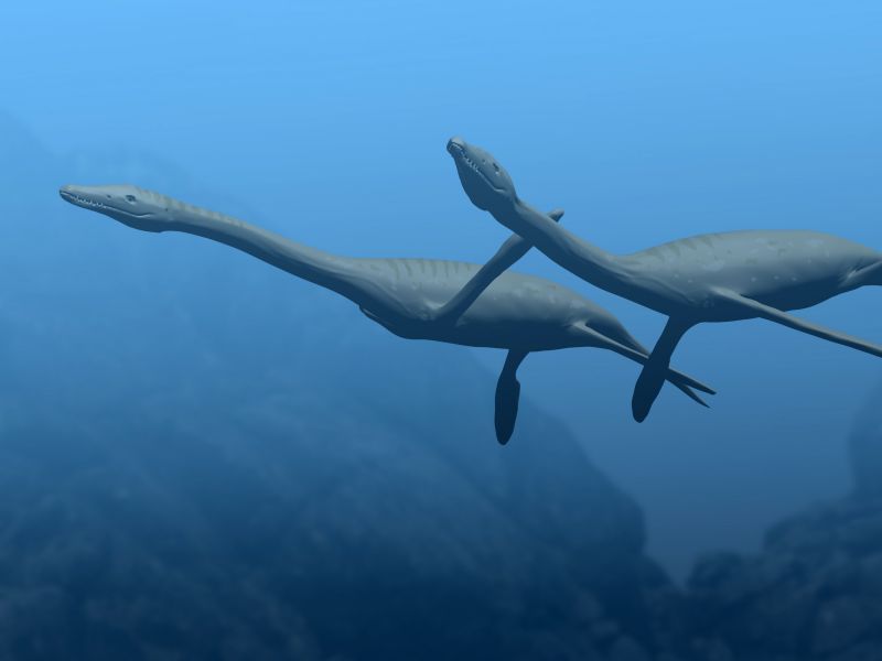 Plesiosaurs and Polycotylids: Streamlined Shapes That Erased Their Own Shadows