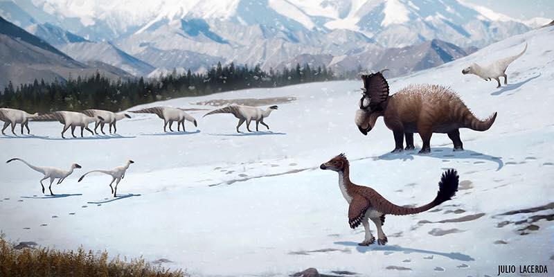 Recent Finds Indicate Dinosaurs Thrived in Surprising Arctic Environments