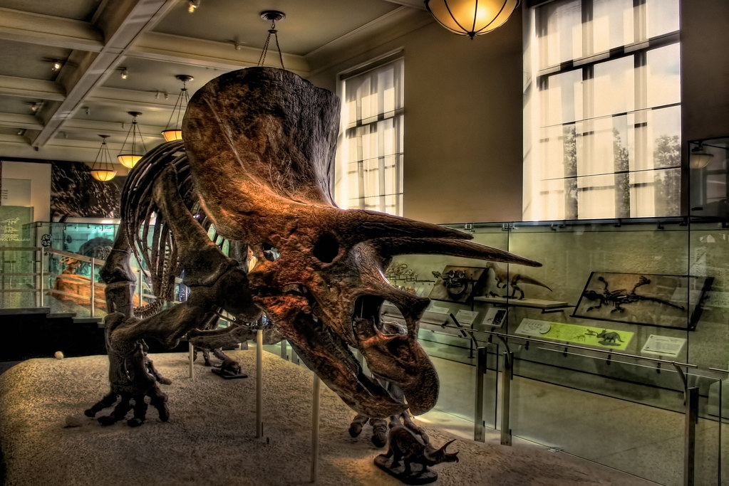 150 Million Years of Dinosaur Evolution