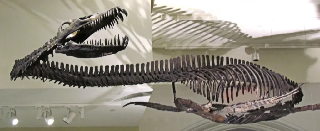 7 Incredible Fossils That Changed Our View of Ancient Ocean Predators