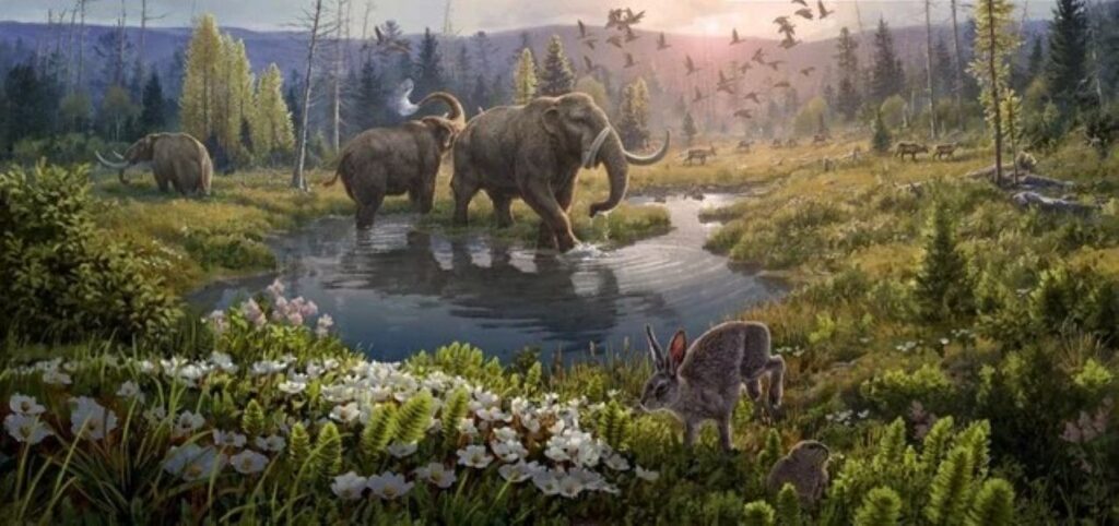 A Hidden Ecosystem Unearthed