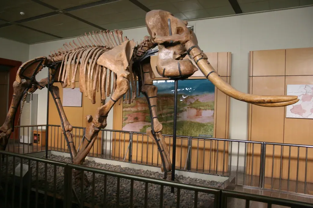 8 Incredible Prehistoric Creatures That Once Roamed the American West